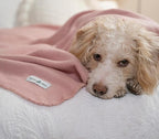Fleece Throw Blankets Bulk Fleece Blankets Solid Wholesale Lightweight Warm Soft - Image 7