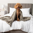 PetAmi Waterproof Dog Blanket for Medium Large XL Dog Puppy Cat Throw for Couch - Image 7