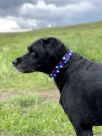 Native Pup American Flag Dog Collar- Red White and Blue- Patriotic Collars - Image 6