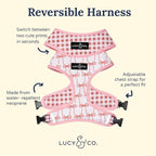 Lucy & Co. Cute Reversible Dog Harness Walking Halter - Image 2