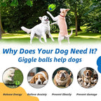 Dog Toys Ball, Interactive Dog Ball, Shaking - Image 6