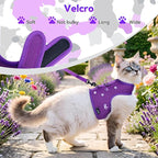 Cat Harness and Leash for Walking Escape Proof Breathable Mesh Fabric, Extra - Image 5