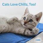 The Green Pet Shop Chillz Gel Mat, Medium - Image 6