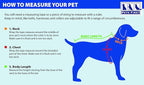 Pets First NFL DOG BANDANA - Image 5