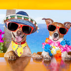 Weewooday 30 Pieces Sublimation Heat Transfer Dog Bandana Triangle Dog Scarf - Image 3