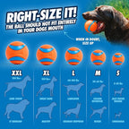 Chuckit! Ultra Ball Dog Toy - Image 5