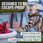Houdini™ Escape Proof Kitten Harness and Leash Set by OutdoorBengal – Orange - Image 2