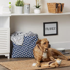 Bone Dry Pet Storage Collection Lattice Paw Print, Nautical Blue, Large - Image 5