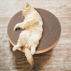 Round cat Scratcher Refill, 10 inch Diameter, 7/8 inch Thickness Scratcher - Image 6