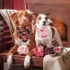 ADOGGYGO Floral Dog Bandana 2 Pack, Reversible Red Pink Rose Pet Scarf Bib - Image 2