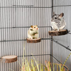18 PCS Bird Perches Stand Toy, Natural Wood Parrot Perch Stand Bird Cage - Image 6