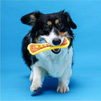 Hartz Chew 'n Clean Dental Duo Dog Treat & Chew Toy, Color Varies, 3 Pack - Image 7