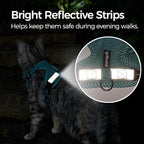 Cat Harness and Leash Escape Proof Small Kitten Harness Abyssinian Cat Vest - Image 6