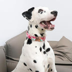 Unique style paws Dog Collar Metal Buckle Watermelon Collar Gift Durable Cute - Image 4