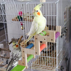 Bird Ladder Bridge, Wooden Parrot Hamster Climbing Ladder Toys, Bird Perch Stand - Image 3