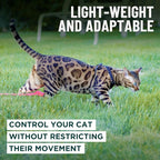 Houdini™ Escape Proof Kitten Harness and Leash Set by OutdoorBengal – Black - Image 7