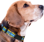 NFL PET Collar Los Angeles Chargers Dog Collar, Large Football Team Collar - Image 7