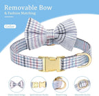 Beirui Cute Extra Small Dog Harness Collar and Leash Set - Image 6
