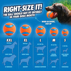 Chuckit! Ultra Ball Dog Toy - Image 4