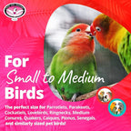 Super Bird Creations SB896 Seeing Stars Bird Toy - Image 4