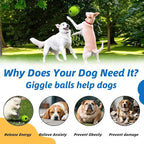 Dog Toys Ball, Interactive Dog Ball, No Paint, Gibbering Sound - Image 6