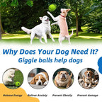 Dog Toys Ball, Interactive Dog Ball, No Paint, Gibbering Sound - Image 6