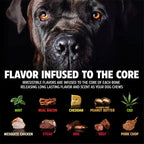 Pet Qwerks Original BarkBone - Image 5