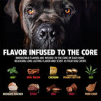Pet Qwerks Dinosaur BarkBone - Image 5