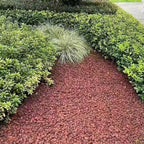 2LB Succulent and Cactus Gravel Pebbles, 1/5 Inch Natural Decorative Polished - Image 7