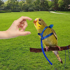 Dnoifne Parrot Harness and Leash, Adjustable Training Design Anti-Bite - Image 3