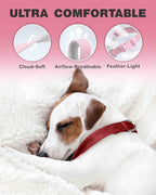 Dynmeow Soft and Breathable Cotton Dog Collar, Durable Adjustable Heavy-Duty - Image 3