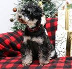Unique style paws Christmas Dog Collar Metal Buckle Red Black Plaid Puppy - Image 5