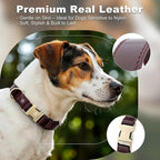 Plutus Pet Genuine Leather Dog Collar – Adjustable Pet Collar - Image 3