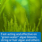 API ALGAEFIX Algae Control 1.25-Ounce Bottle - Image 3