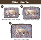 Dono 1 Pack 3 Pink Dog Blankets - Image 2