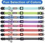 Pawtitas Personalized Orange Reflective Cat Collar – Adjustable Custom Collar - Image 7