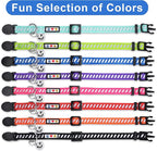 Pawtitas Personalized Green Reflective Cat Collar – Adjustable Custom Collar - Image 7