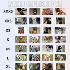 AIITLE No Pull Dog Harness and Leash Set, Step in Adjustable Dog Harness - Image 2