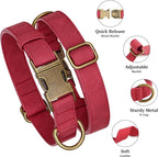 Didog Soft PU Leather Dog Collar, Stylish Quick Released Dog Collar - Image 2