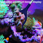 Coral Reef Grabber, Coral Feeder, Aquarium Veggie Feeder, Fish Tank Food Clip - Image 2