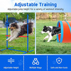 Dog Agility Equipment, Dog Agility Course Backyard Set Obstacle Course Backyard - Image 6