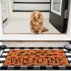 Tinideya 2 Pcs Valentine Door Mat Hello February 14th Welcome Non Slip Coir - Image 6