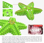Chew Toy for Dog Toothbrush Stick Dog Toys for Aggressive Chewers Interactive - Image 8