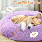 JOLLYVOGUE Calming Dog Bed Medium Size Dog, Anti-Anxiety Donut Medium Pet Bed - Image 2
