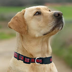 Pets First NFL Tampa Bay Buccaneers Licensed PET COLLAR, Small - Image 5