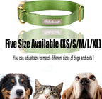Nylon Dog Collar - Image 8