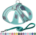 AIITLE Step in Dog Harness and Leash Set by AIITLE-FORPETSBETTERLIFE