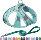 AIITLE Step in Dog Harness and Leash Set by AIITLE-FORPETSBETTERLIFE