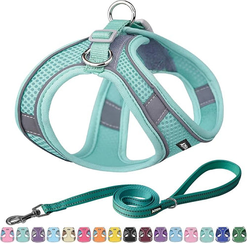 AIITLE Easy Walk Dog Harness and Leash Set by AIITLE-FORPETSBETTERLIFE