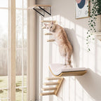 4-Piece Cats Wall Furniture - Image 2